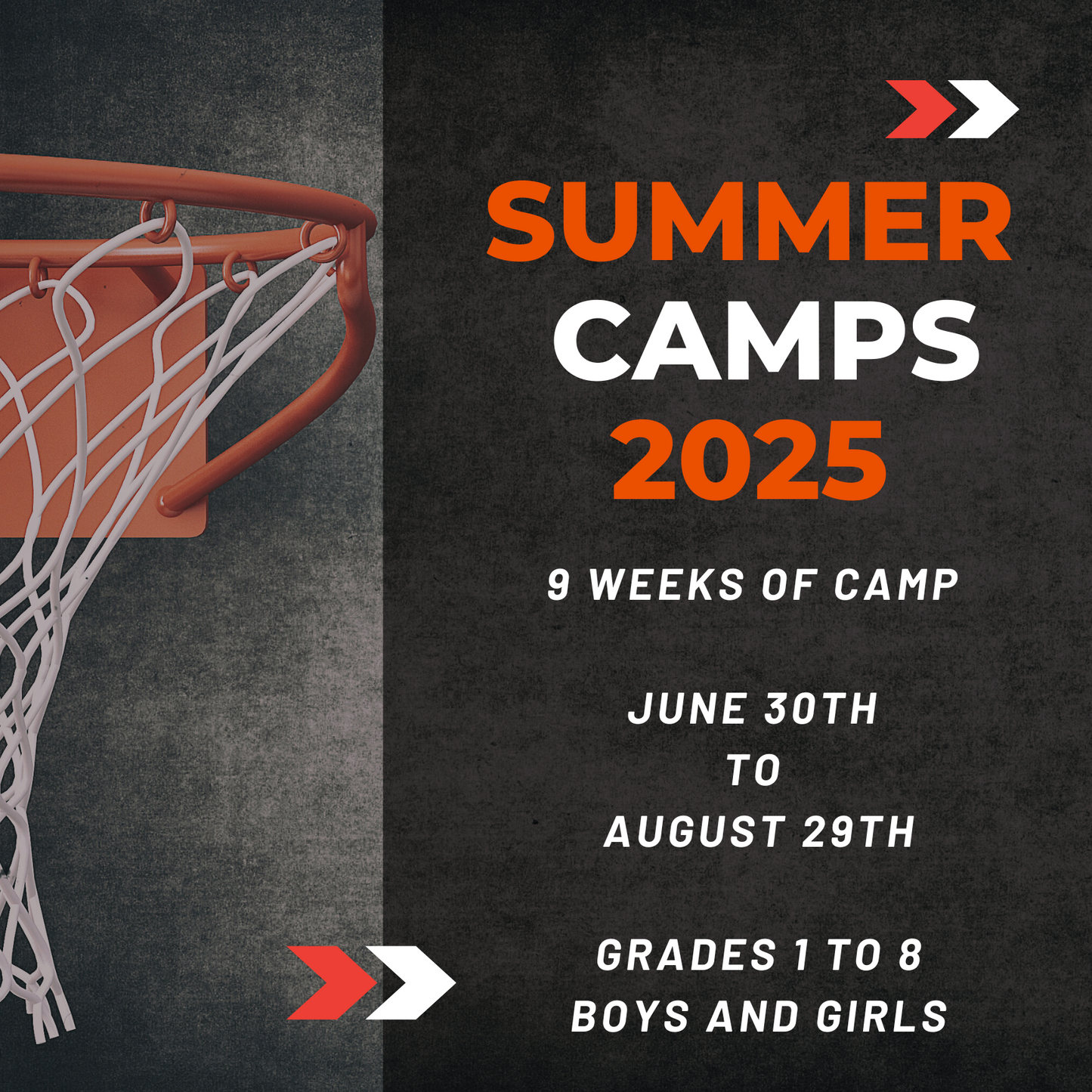 Summer Full Day Camp - 2025